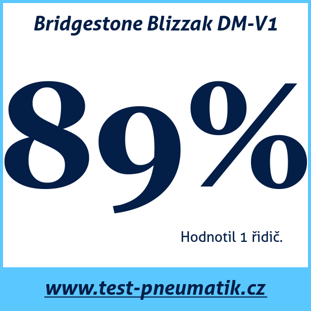 Test pneumatik Bridgestone Blizzak DM-V1