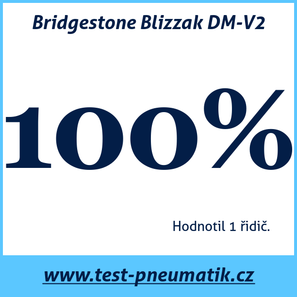 Test pneumatik Bridgestone Blizzak DM-V2