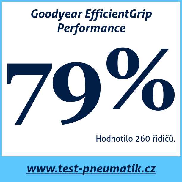 Test pneumatik Goodyear EfficientGrip Performance  95V